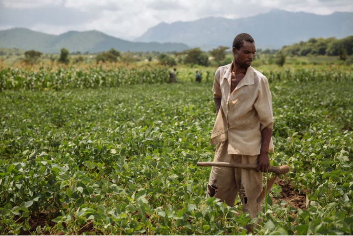 Les Défis de l’Agriculture en Afrique : Comment Attirer les Jeunes Vers la Terre