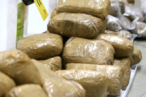 Togo – Kpalimé : Plus d’une tonne de cannabis saisie par la Gendarmerie