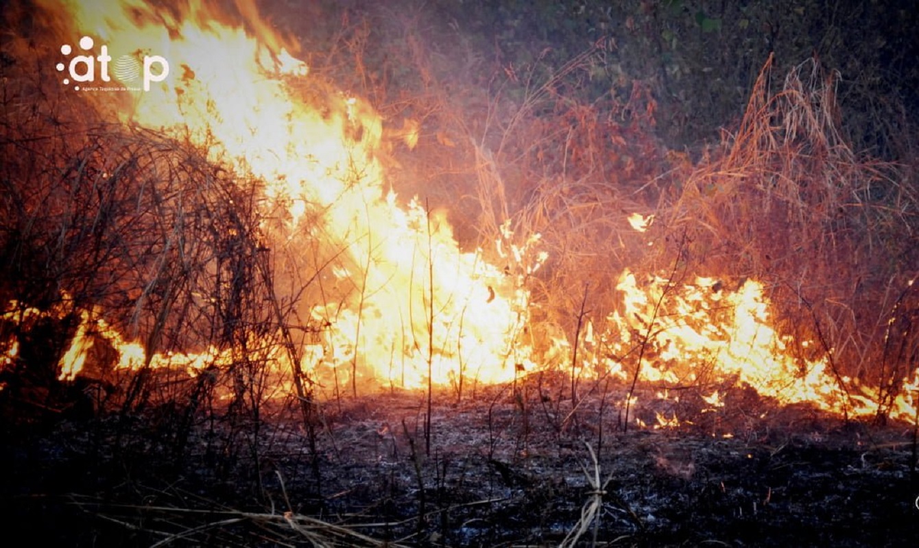 Togo- Le ministère de l’Environnement fixe les dates limites des feux précoces