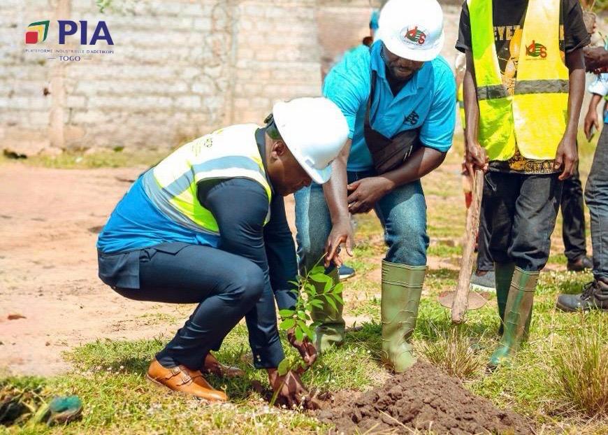 TOGO- 49ème Journée Nationale de l’Arbre : la PIA plante 1 000 arbres et montre la voie aux industries togolaises